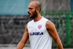 Allenamento 17 08 2016: volti da molossi ©2016 Andrea D\'Amico