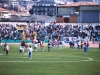 cava41