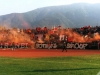 n-avezzano2