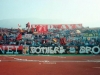 n-bnvt