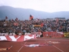 n-formia
