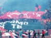n-formia11