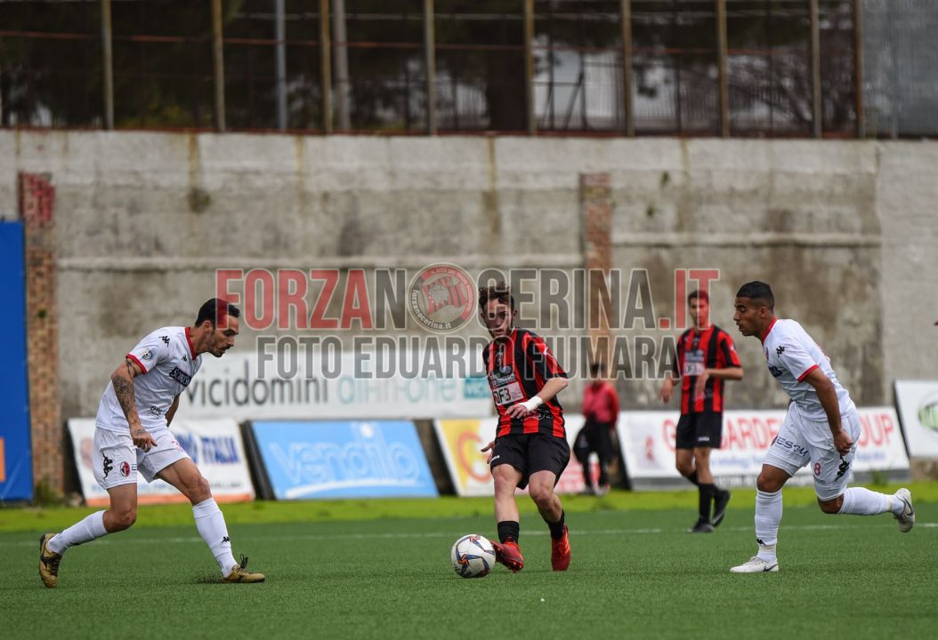19_Serie_D_Nocerina_Bari_1_0_foto_Fiumara_ForzaNocerinait