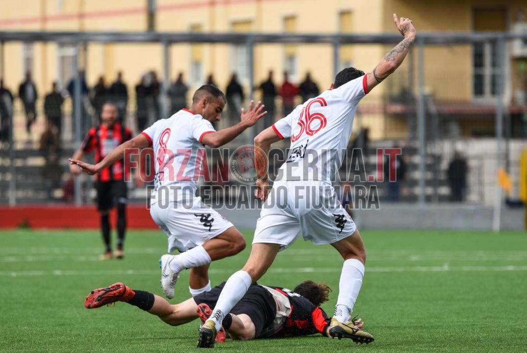 35_Serie_D_Nocerina_Bari_1_0_foto_Fiumara_ForzaNocerinait