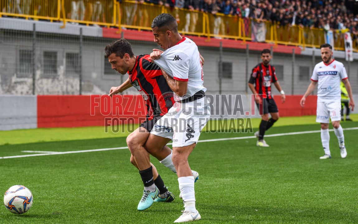 40_Serie_D_Nocerina_Bari_1_0_foto_Fiumara_ForzaNocerinait