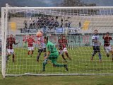 12_Serie_D_Nocerina_Fasano_Stile_ForzaNocerinait