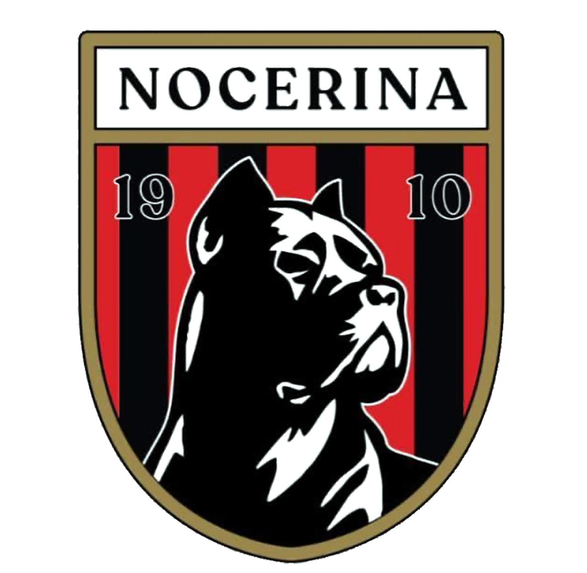 scudetto Nocerina