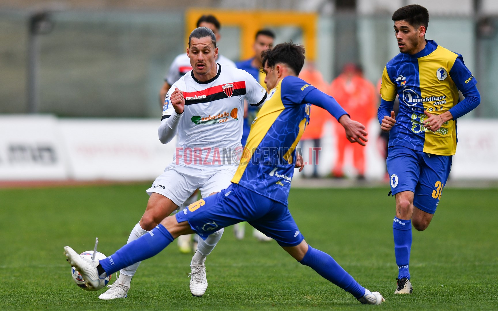 SERIE D GIRONE G: Il punto sul girone
