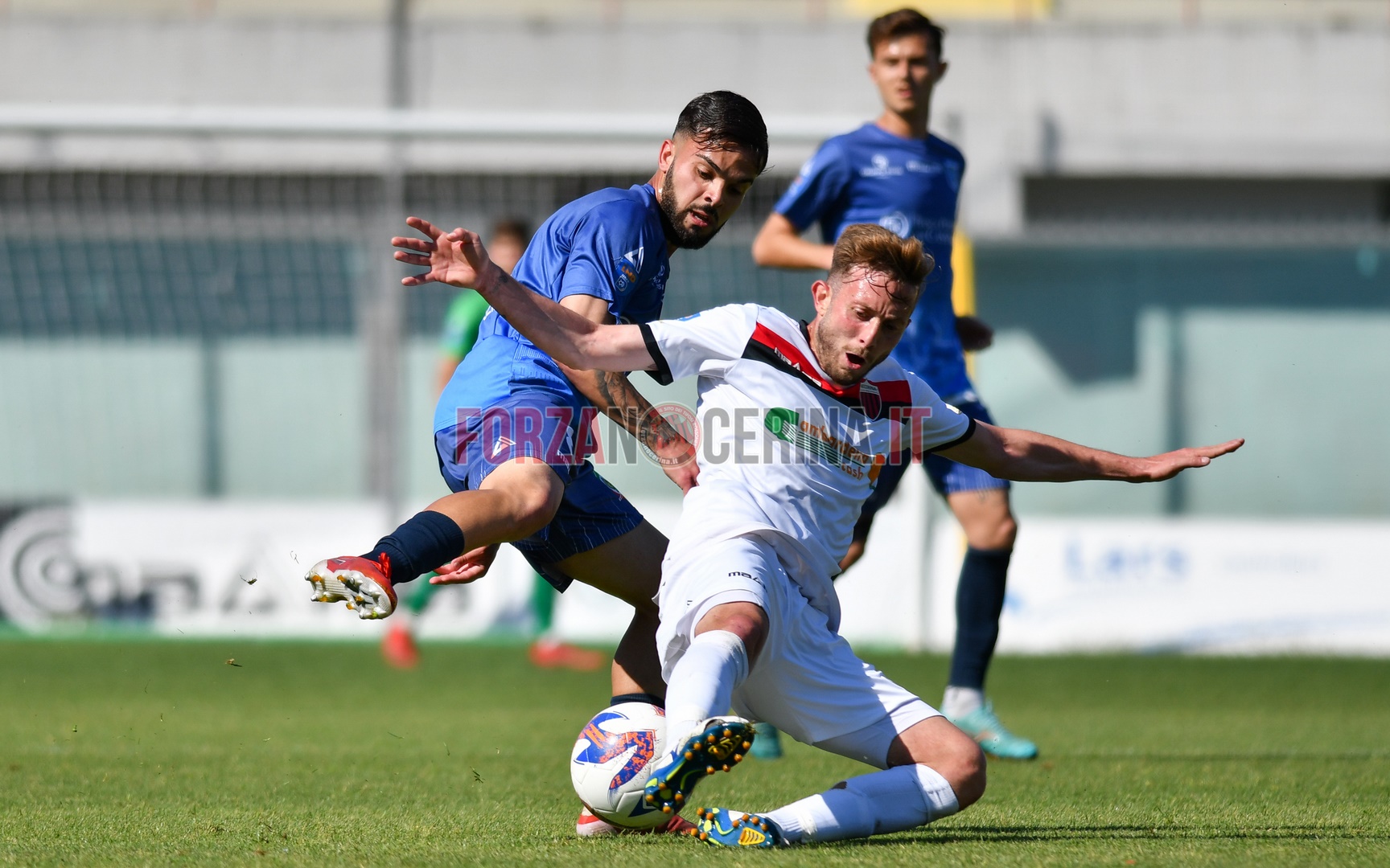 FOTO | Nocerina – Cassino 0-1: sfoglia la gallery di Fiumara e D’Amico