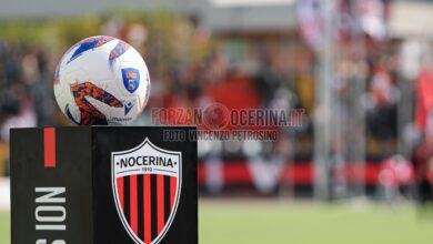 Pallone San Francesco